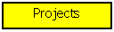 Text Box: Projects